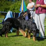 Aenya und Bonny